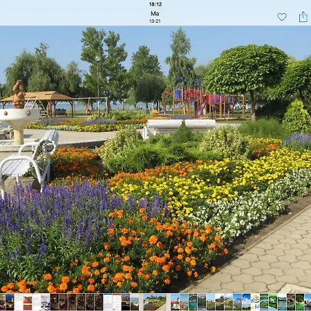 Cyrano Vonyarcvashegy