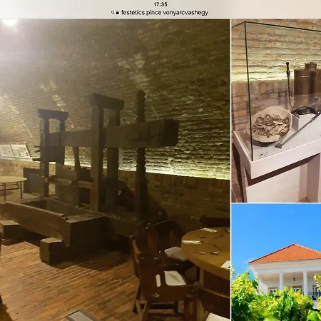 Cyrano 3* Vonyarcvashegy