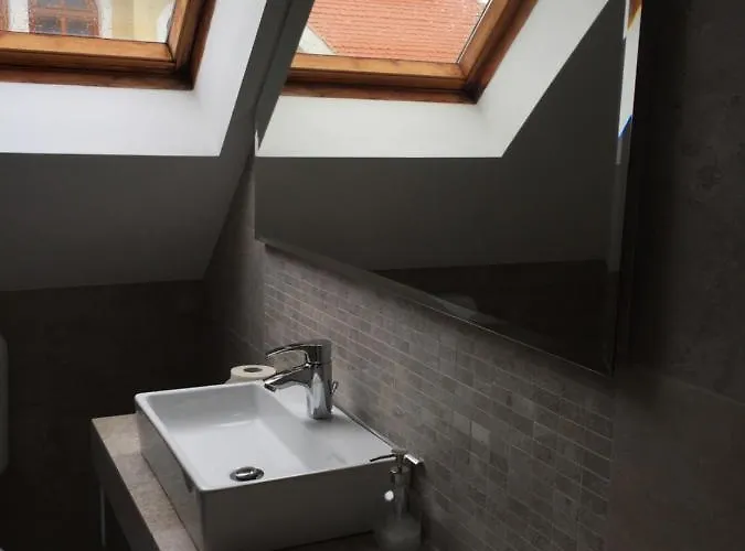 Cyrano Vendeghaz פוניארצוושהג'