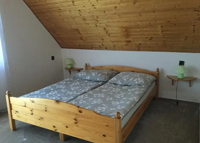 Cyrano Vendeghaz 招待所 沃尼奥尔茨沃什海吉