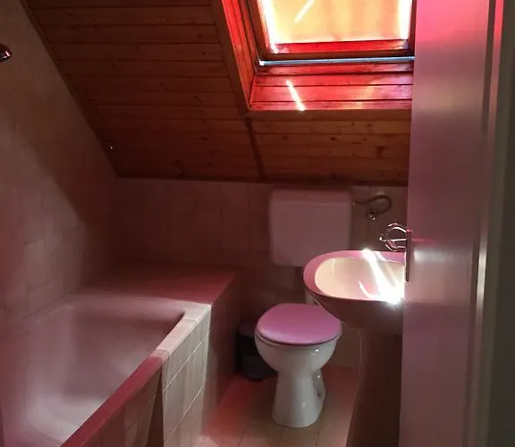 Cyrano Vendeghaz 沃尼奥尔茨沃什海吉