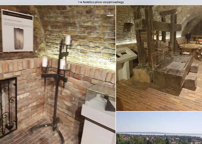 Cyrano Vendeghaz 招待所