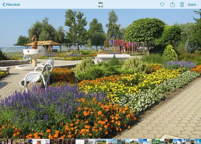 Cyrano Vendeghaz 沃尼奥尔茨沃什海吉