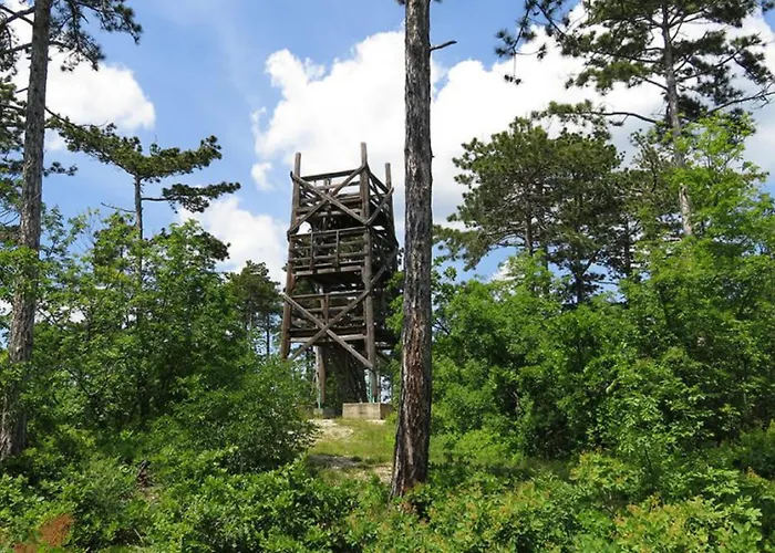 Cyrano Vendeghaz 招待所