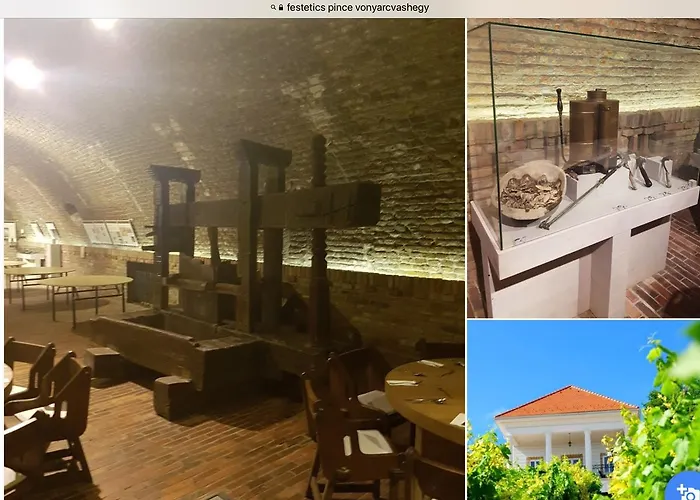 Cyrano Vendeghaz 3* 沃尼奥尔茨沃什海吉